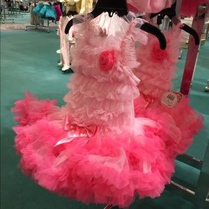 Meet your Posher, Jody